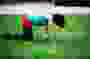 Partita s II 19 * 4368 x 2912 * (5.49MB)